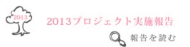 ２０１２年プロジェクト実施